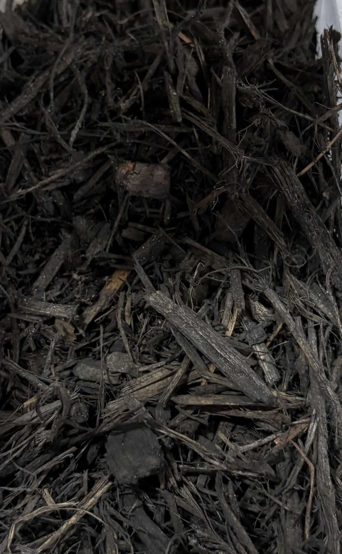 BLACK MULCH  SCOOP