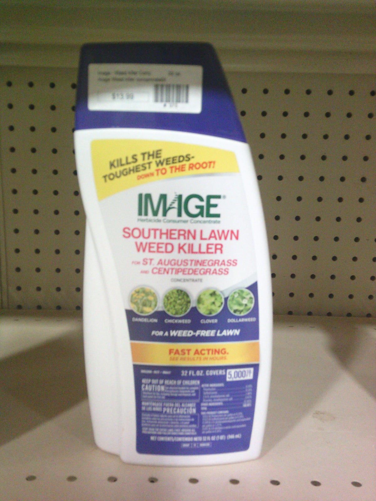 IMAGE SOUTHERN LAWN QT