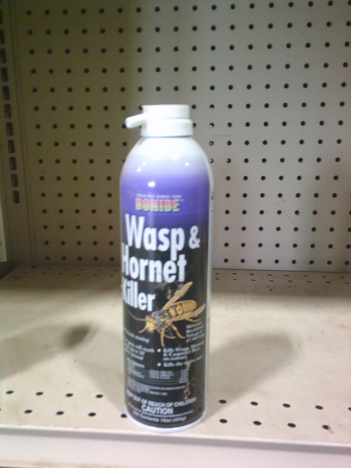 WASP AND HORNET KILLER