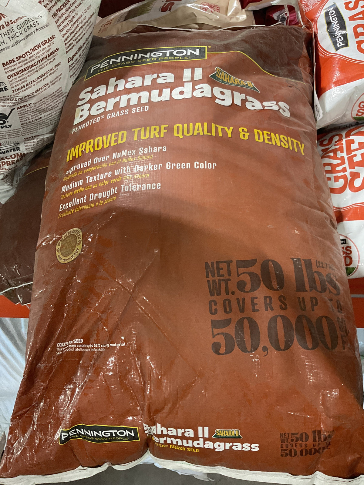SAHARA II UNHULLED BERMUDA 50 #s