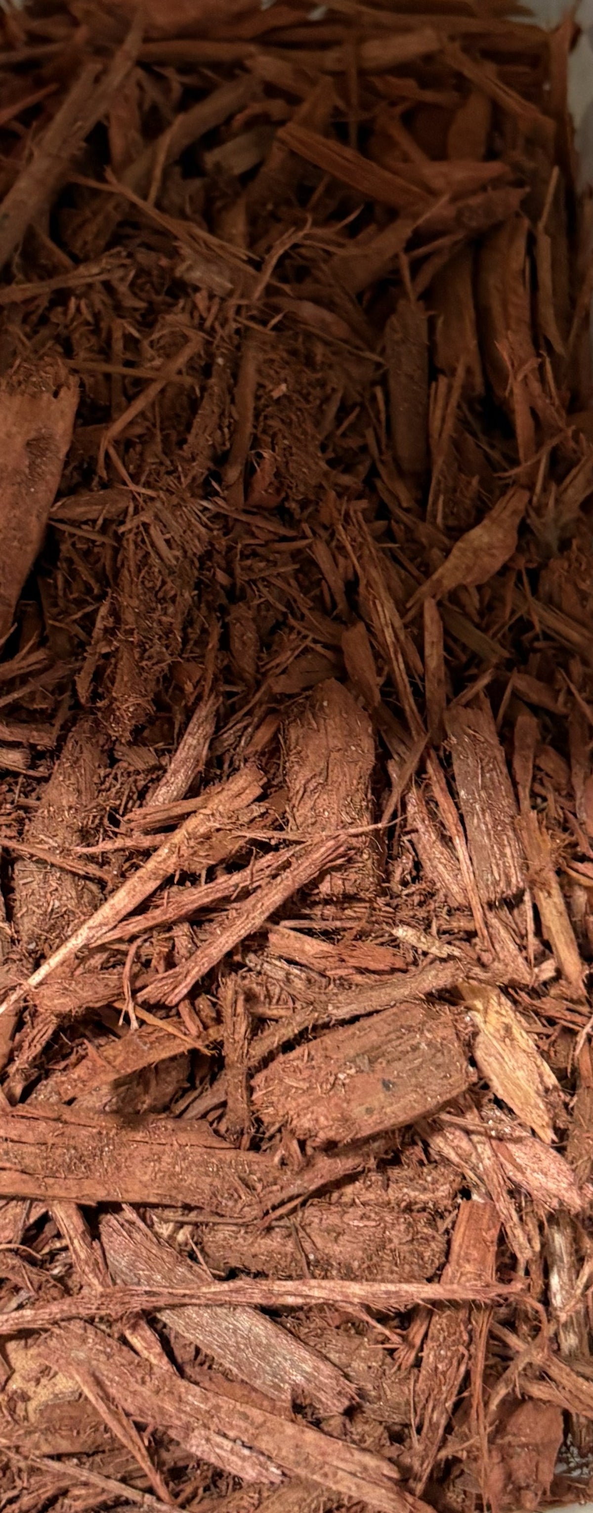 RED MULCH 1/2 SCOOP