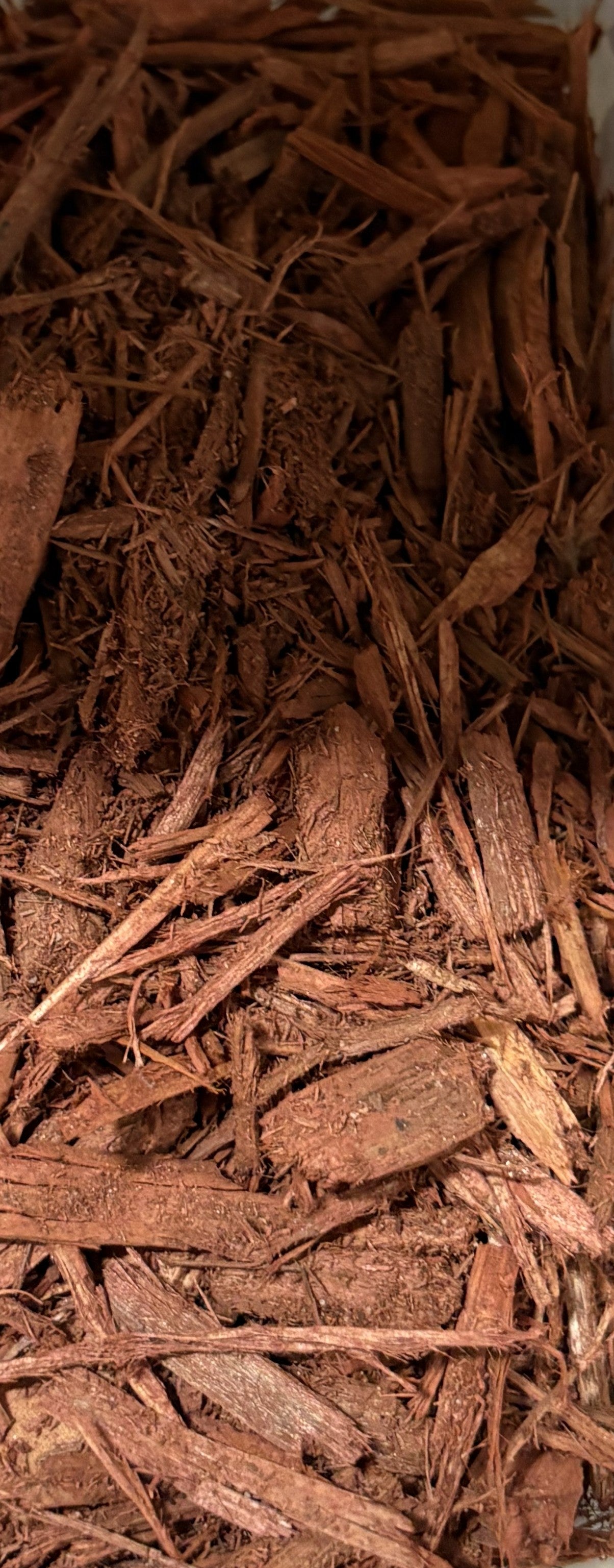 RED MULCH 1/2 LOAD